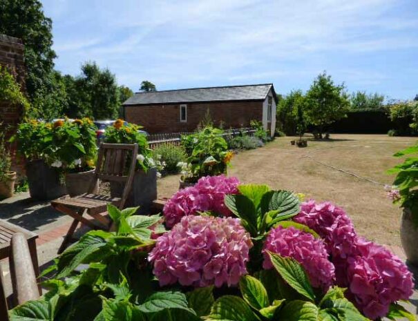 The Larder Garden