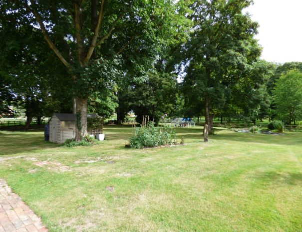 Garden---Aug-2020